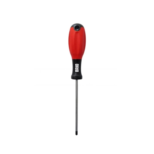 Torx Screwdriver T20