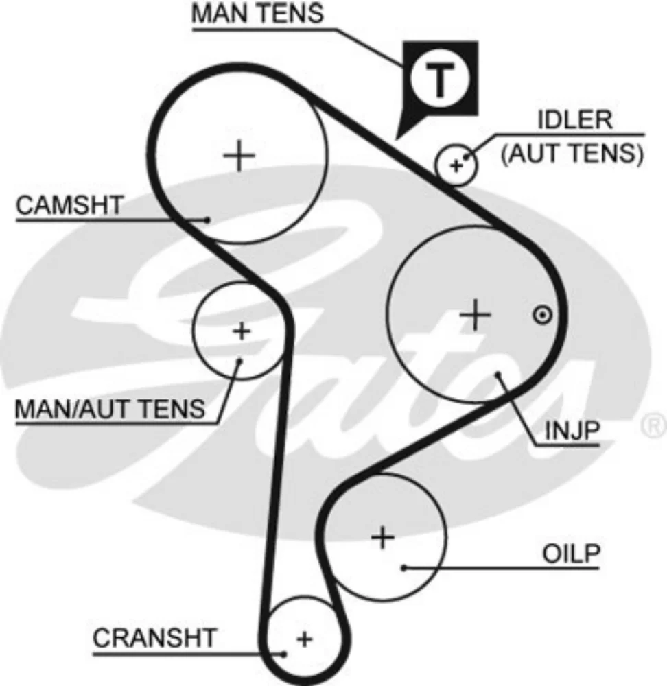 Timing Belt