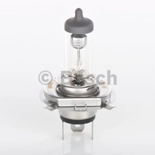 Bulb