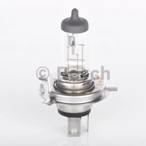 Bulb