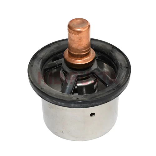 Termostat Daf 75 °C
