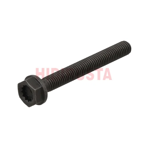 Ana Yatak Kep Civatası 10X80 Crafter/Man