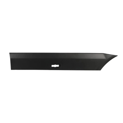 Trim/Protective Strip, Bumper (L)