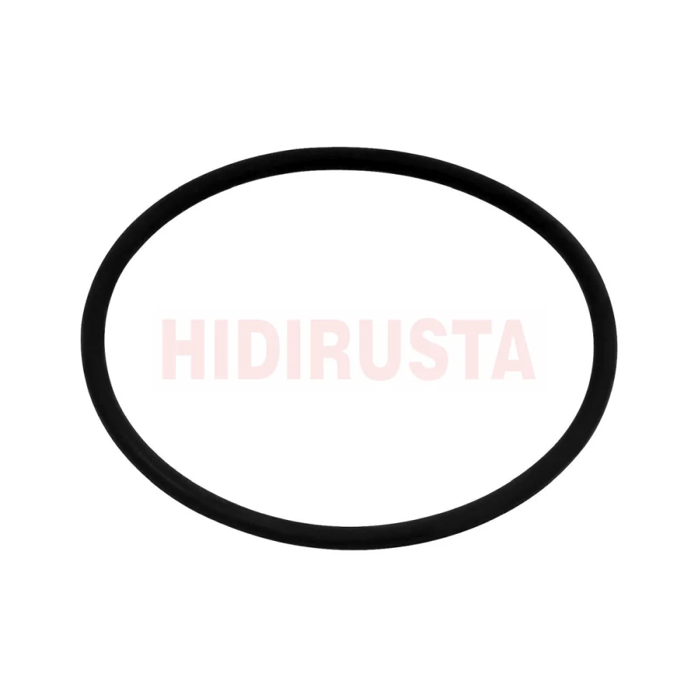 Seal Ring (Standard Parts)