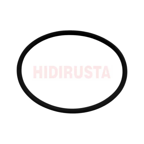 Seal Ring (Standard Parts)