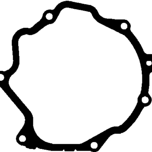 Gasket, vacuum pump (Braking System)