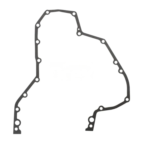 Gasket, Timing Case
