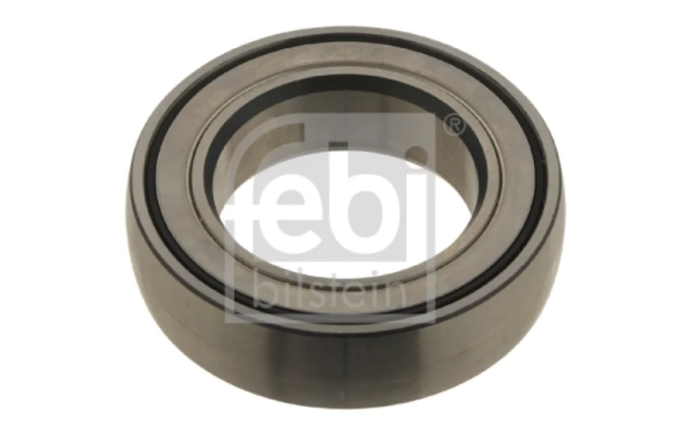 Input Shafts Bearing