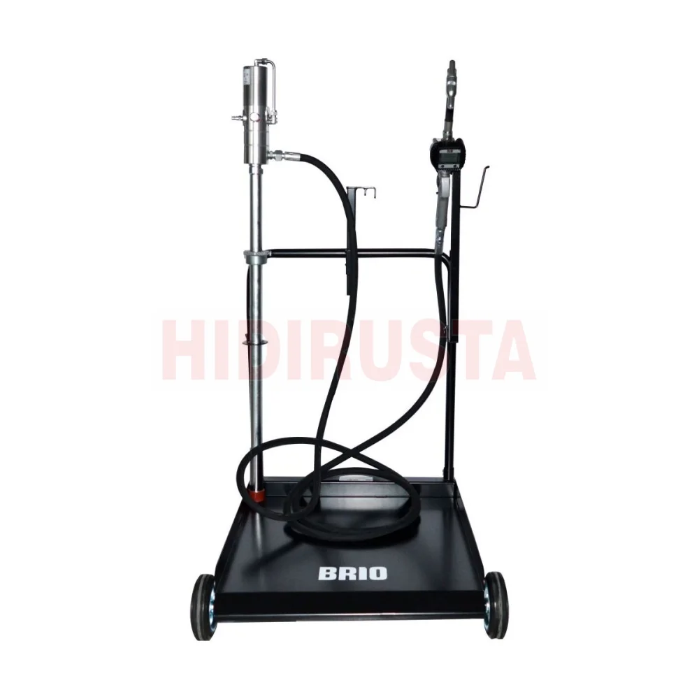 Portable Oil Trolley Set With Oil Gun Preset Metter And 5M Hose