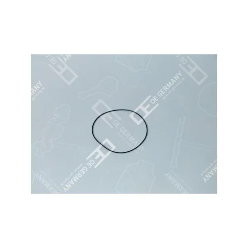 O-Ring