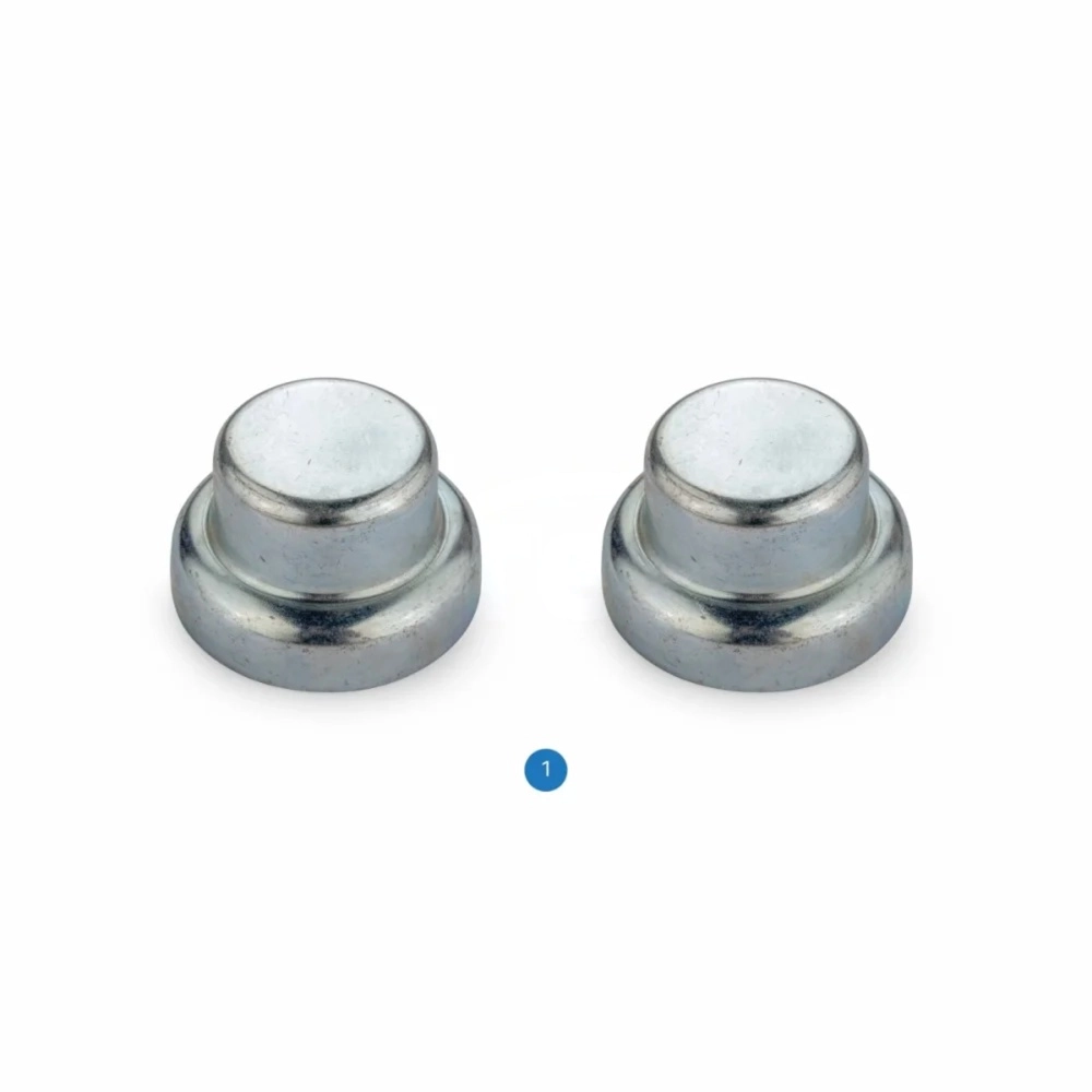 Caliper Plug Set Haldex