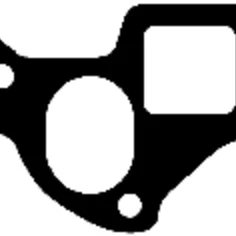 Intake Manifold Gasket  Master, Mascott