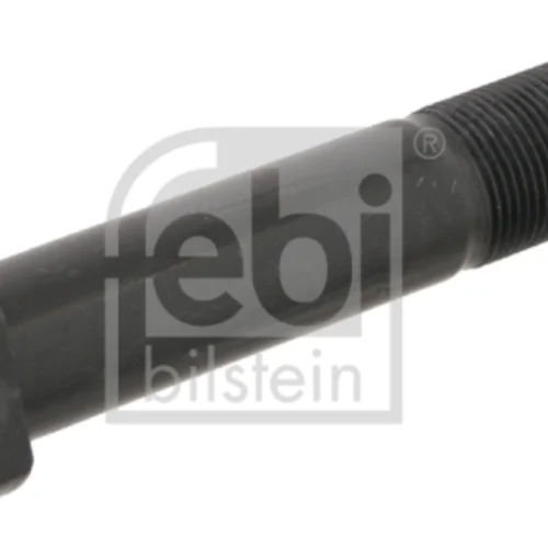 Wheel Bolt w,out Nut M22x110mm (black)