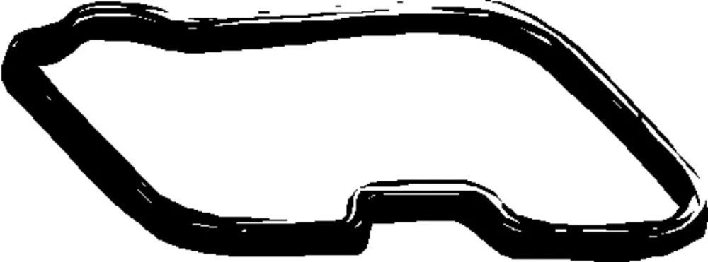Gasket, cylinder head cover (Cylinder Head)