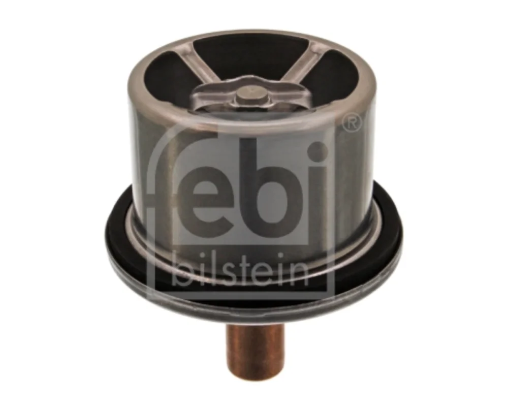 THERMOSTAT DAF