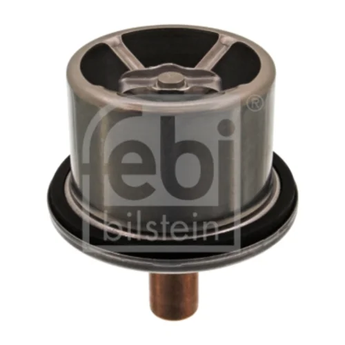 THERMOSTAT DAF