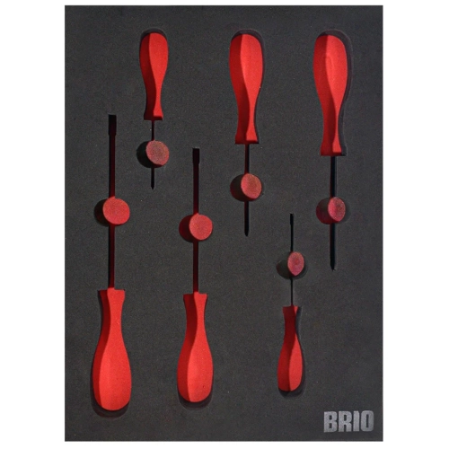 Screwdriver Set 6 Pieces B Line Foam inlet Empty