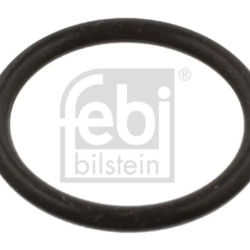 O-ring
