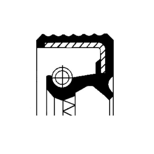 Oil Seal