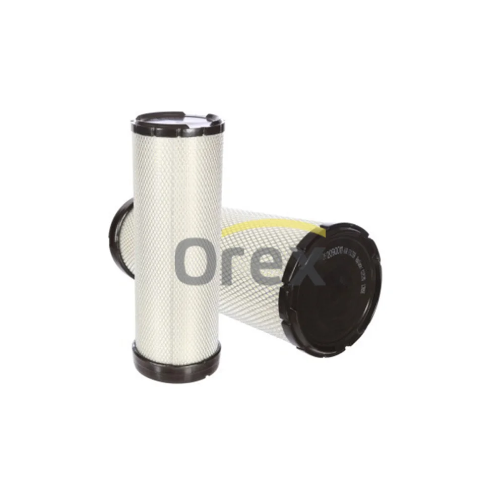 Secondary Air Filter