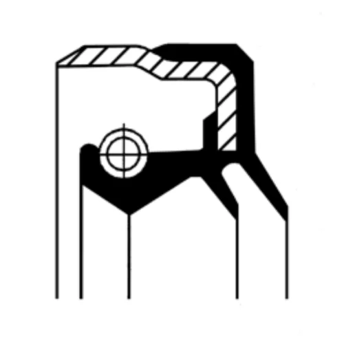 Seal Ring