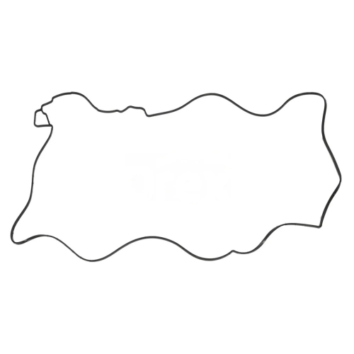 Gasket, Cylinder Head Cover