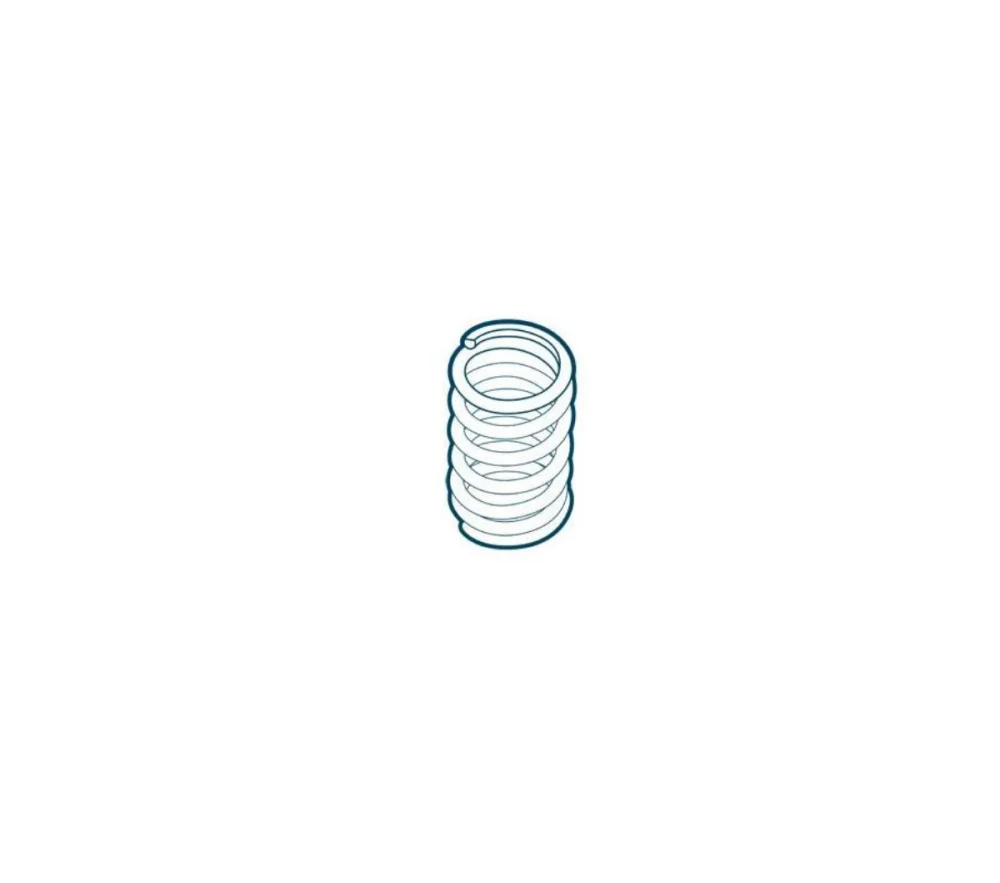 VALVE SPRING