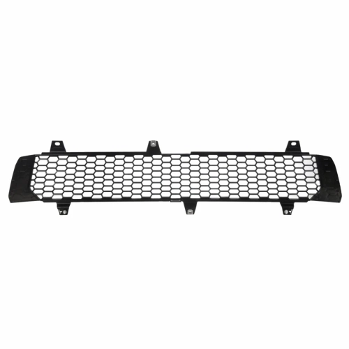 Radiator Grill