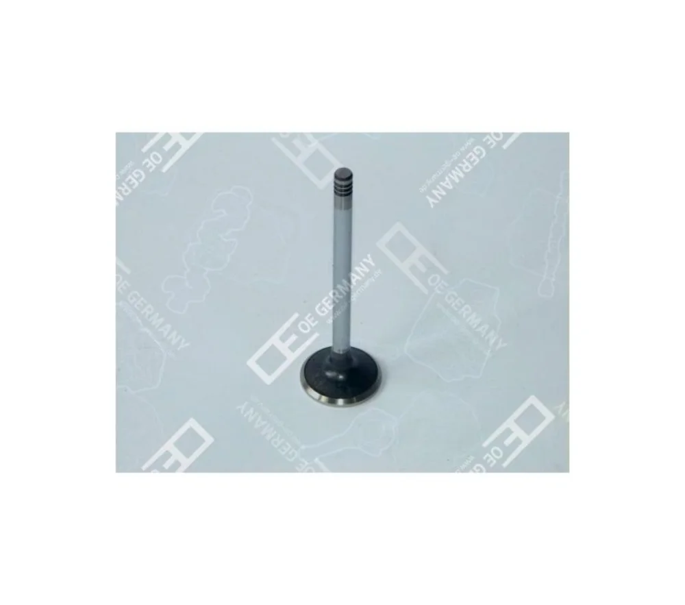 Exhaust Valve