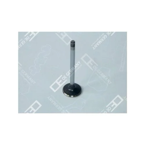 Exhaust Valve