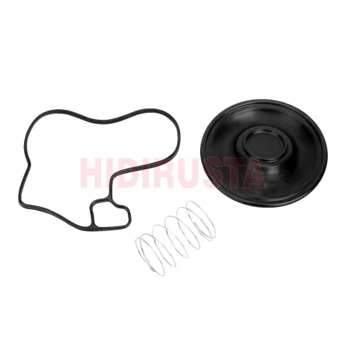 Gasket Set, timing case