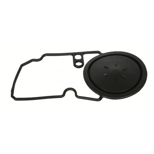 Gasket, Cylinder Head Cover