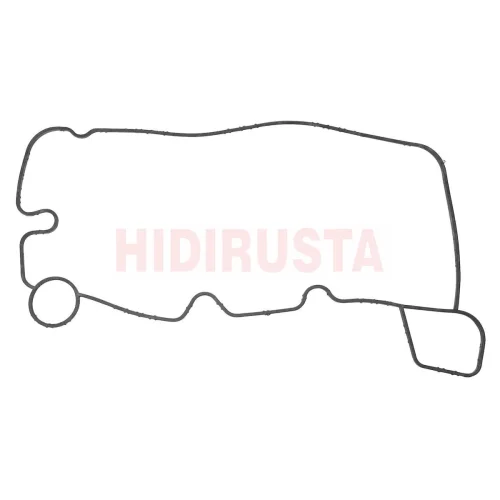 Oil Cooler Gasket