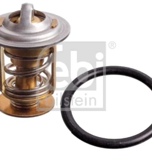 Termostat Retarder  D3876 Y.M