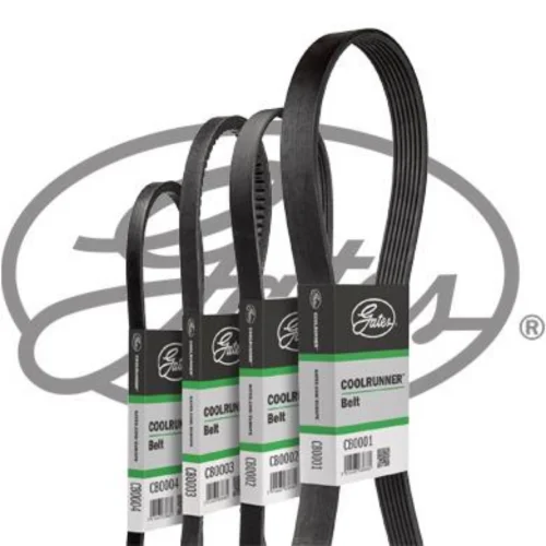 V-Belt (Belt Drive)