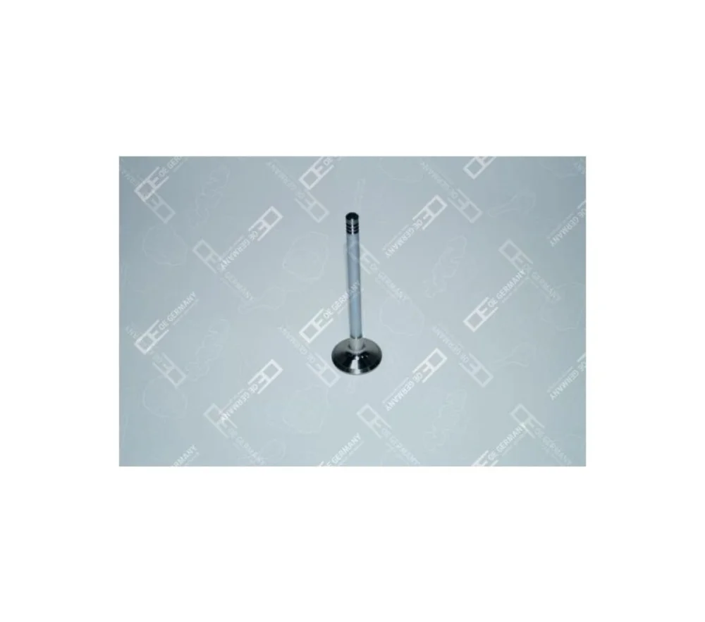 Exhaust Valve
