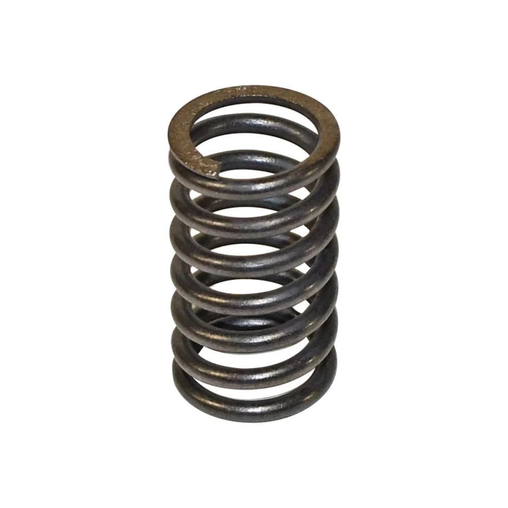Valve Spring