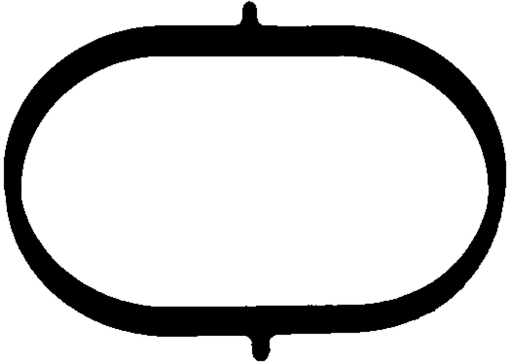 Gasket, intake manifold