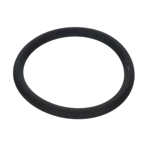 Seal Ring