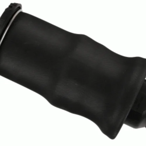 Air Springs  Rear Left