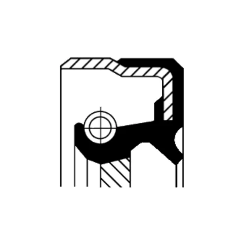 Oil seal