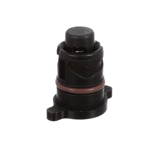 Screw Plug, Oil Pan - Screw Plug, Transmission Housing