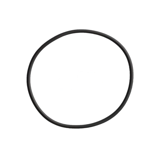 Seal Ring