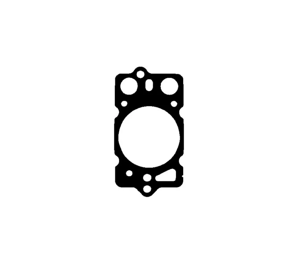 Gasket, cylinder head (Cylinder Head)