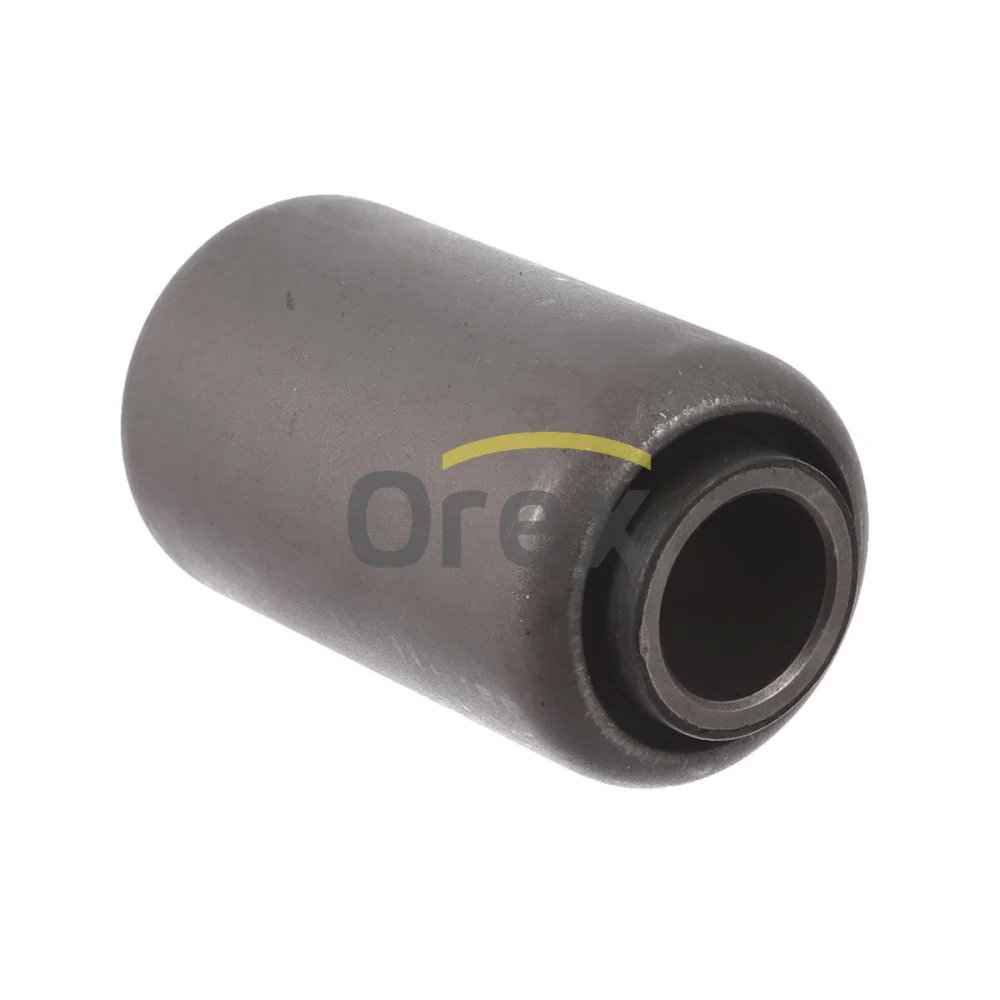 Bush, leaf spring