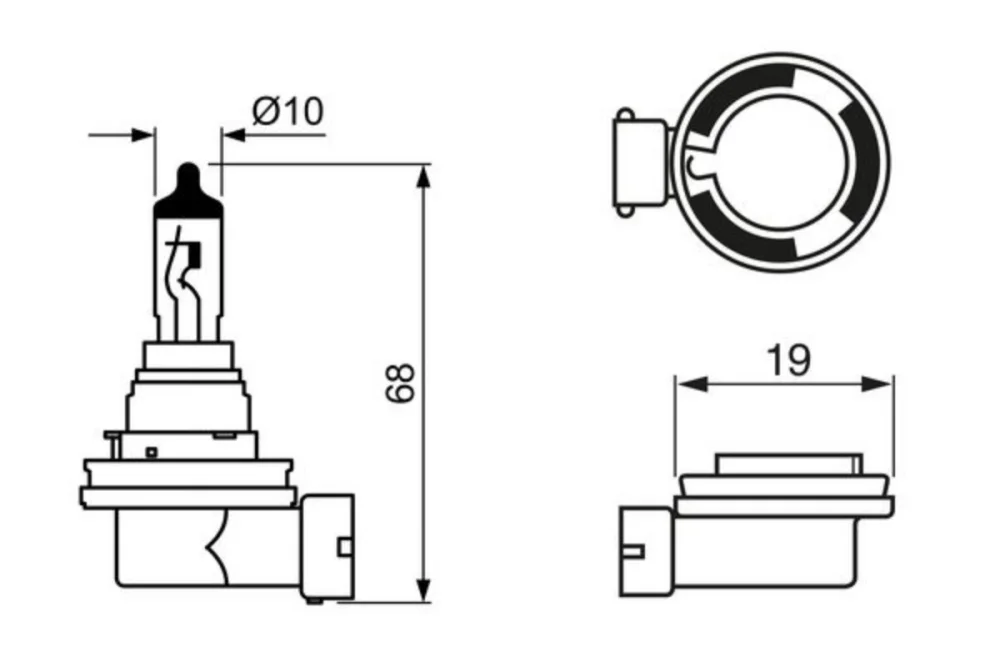Bulb