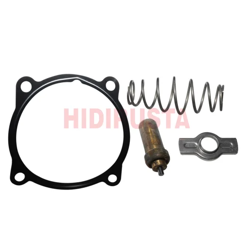 Thermostat Repair Kit 79 ° C