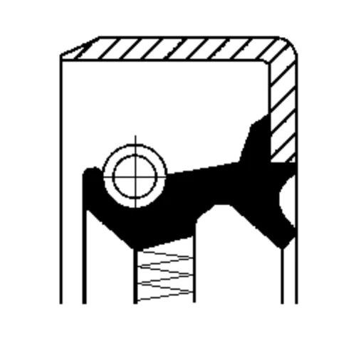Seal Ring