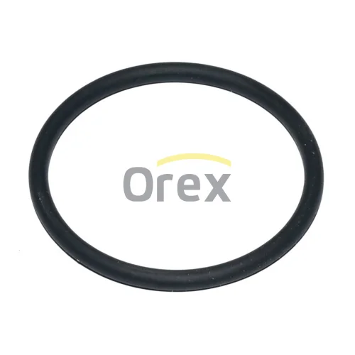 Seal Ring
