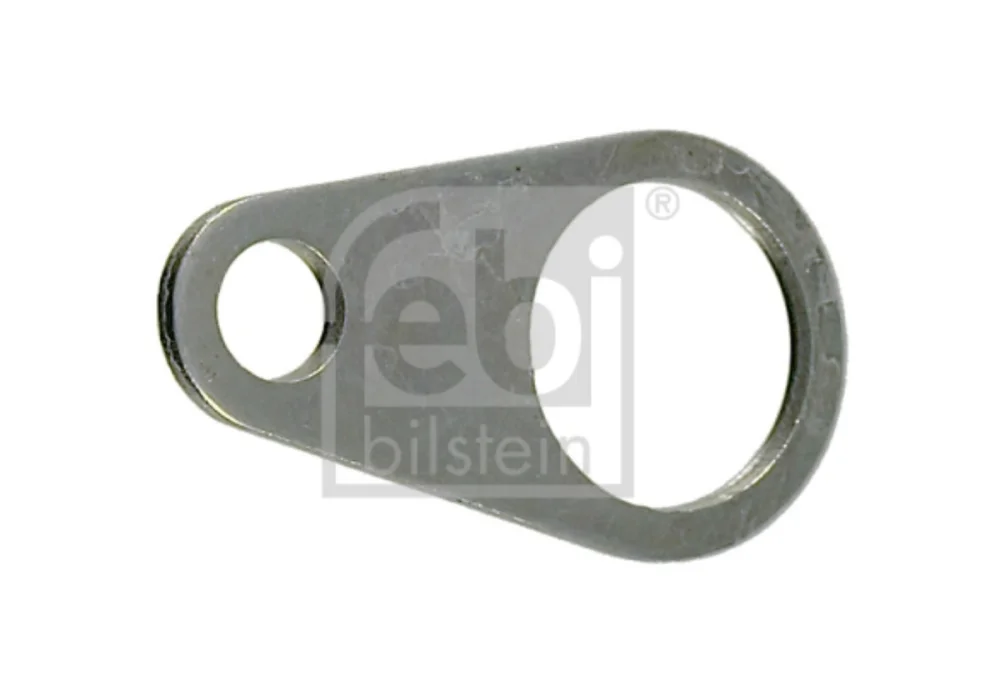 Retaining Plate, brake shoe pins (Braking System)